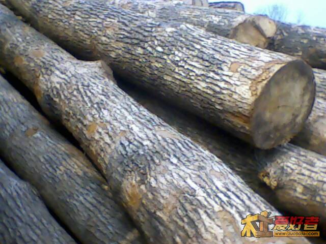 IMG1796A.jpg