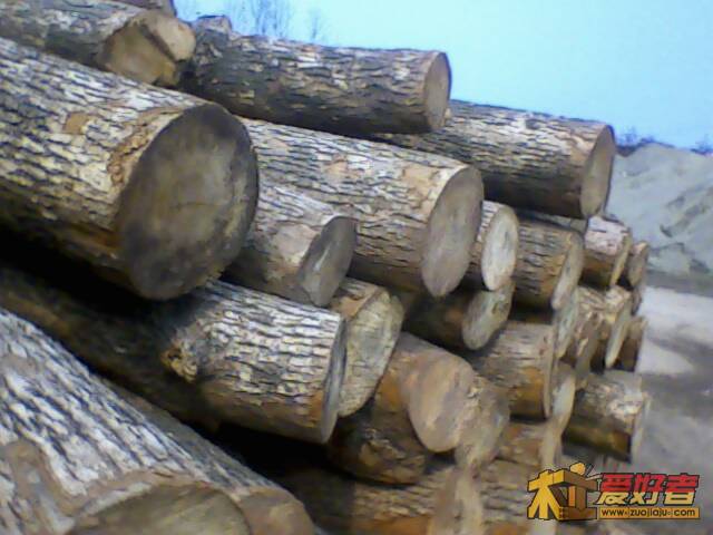 IMG1797A.jpg