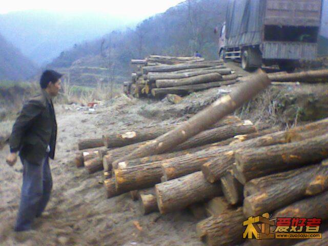 IMG2188A.jpg