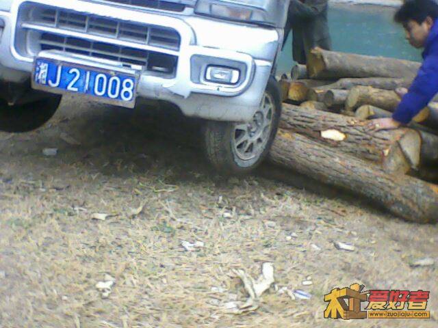 IMG2201A.jpg
