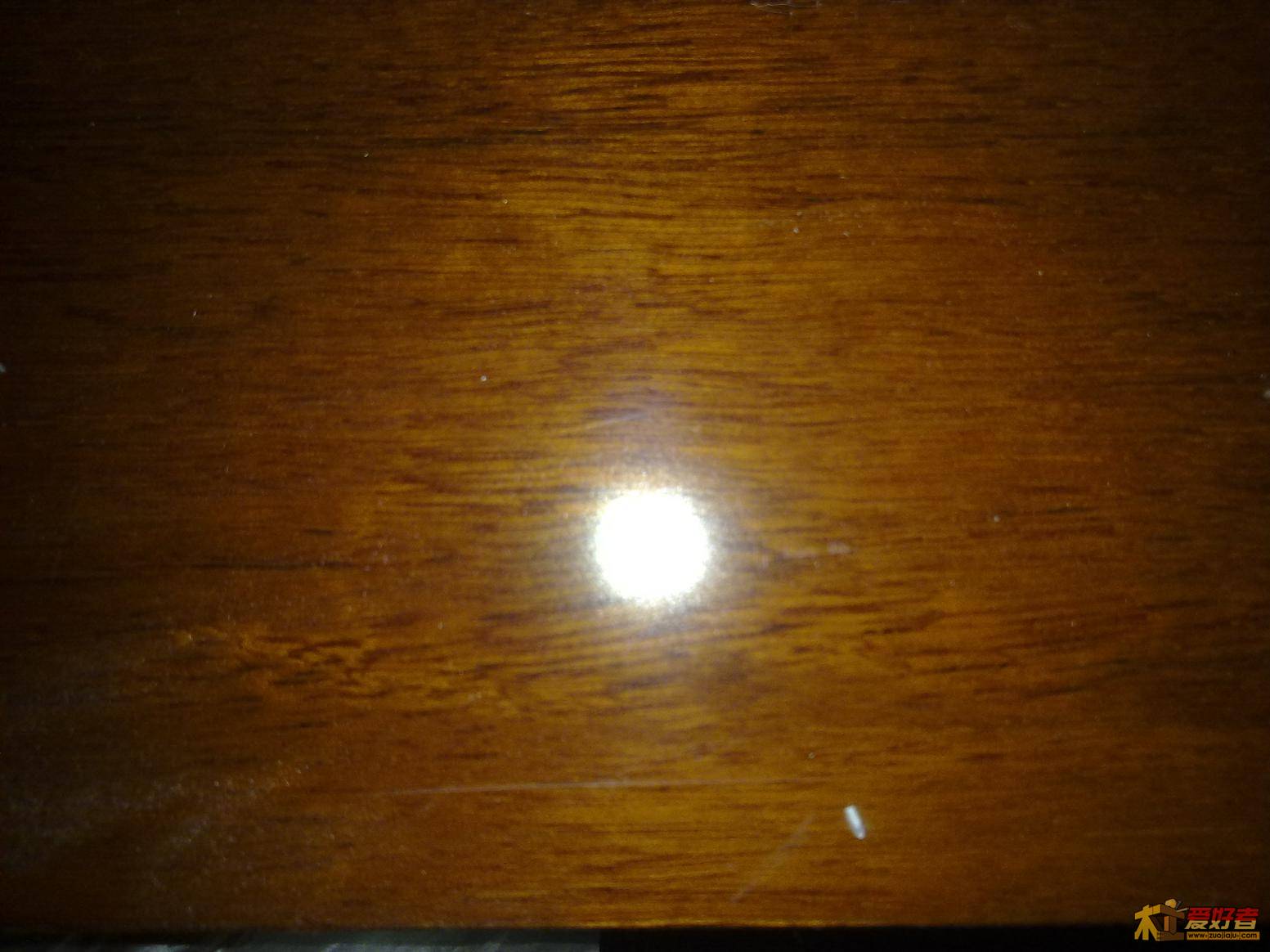 20110301010.jpg