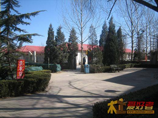 B13.JPG
