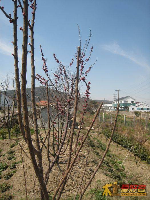 新 片 890.jpg
