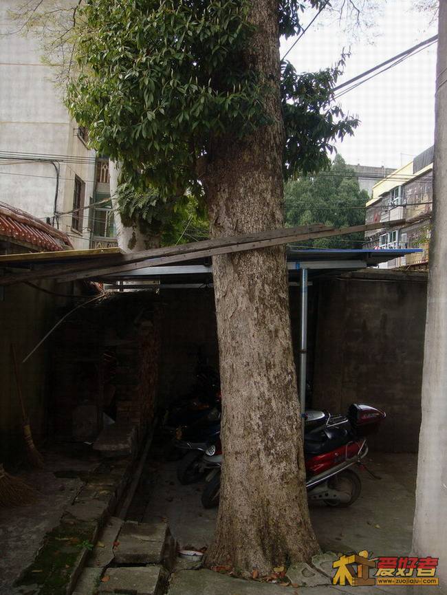 19.JPG