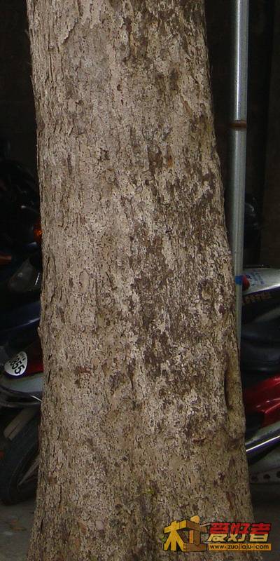 20.JPG