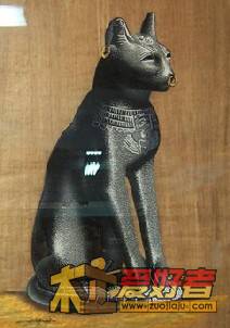 猫.jpg