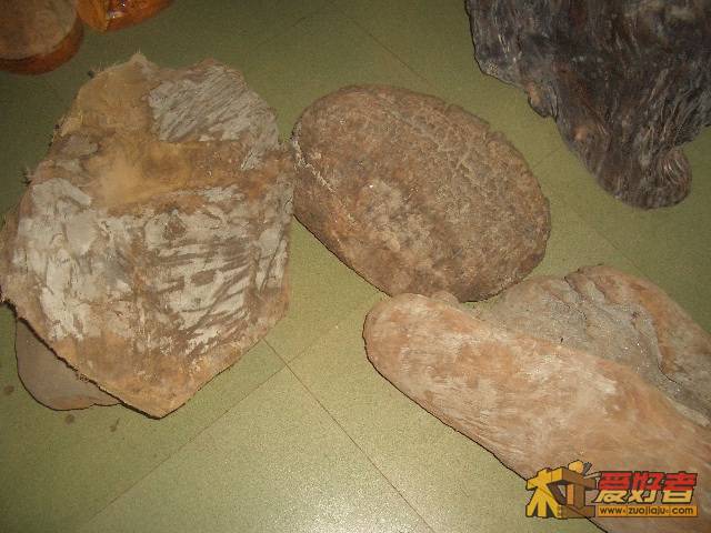 CIMG9700.JPG