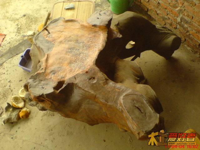 DSC05492.JPG