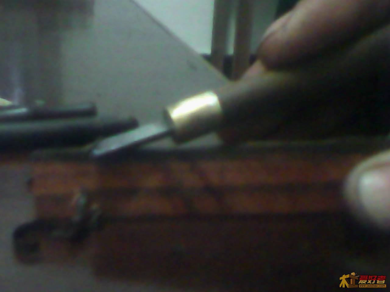 Img00016.jpg