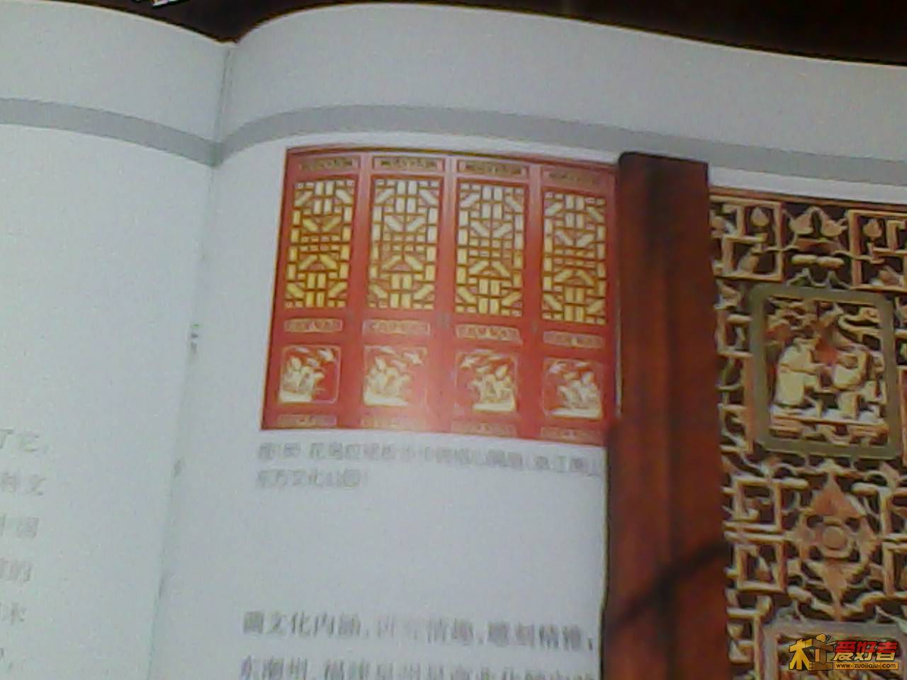 Img00020.jpg