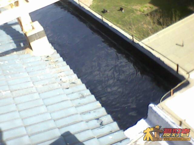 IMG0408A.jpg