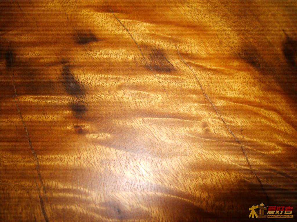 S8002041.JPG