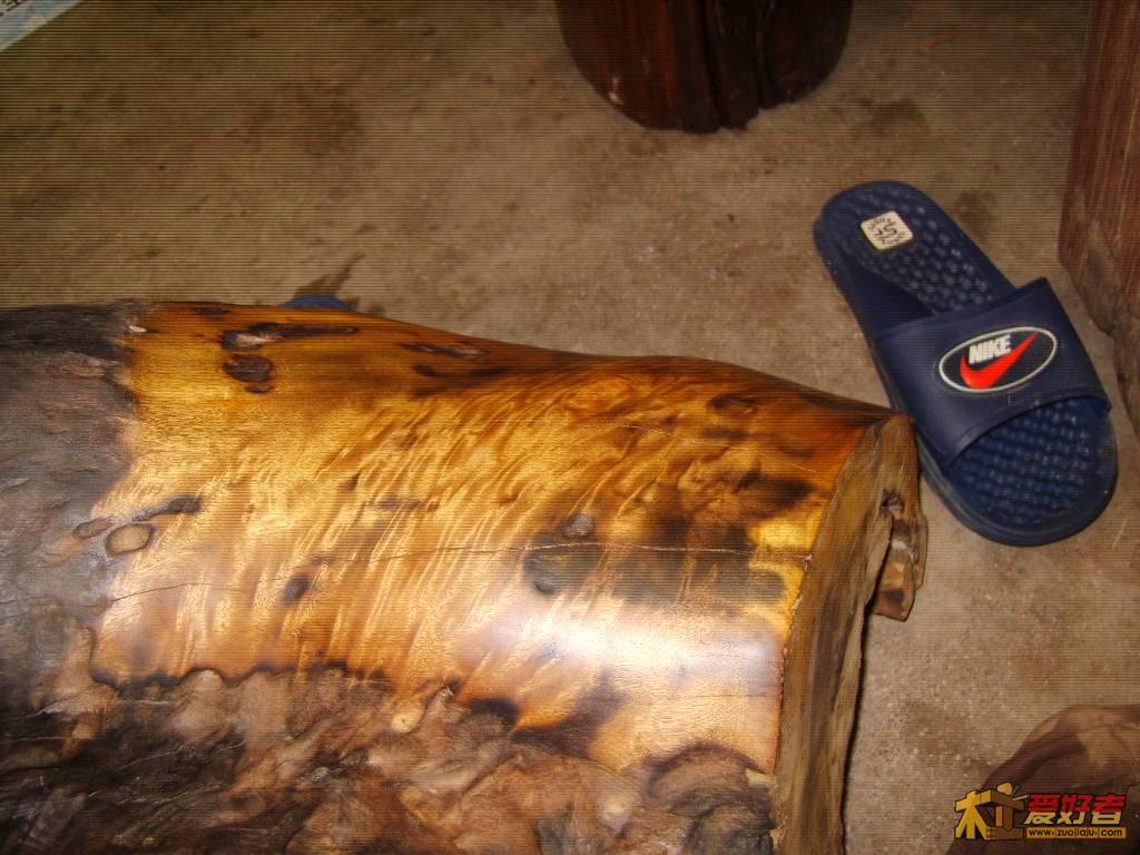 S8002033.JPG