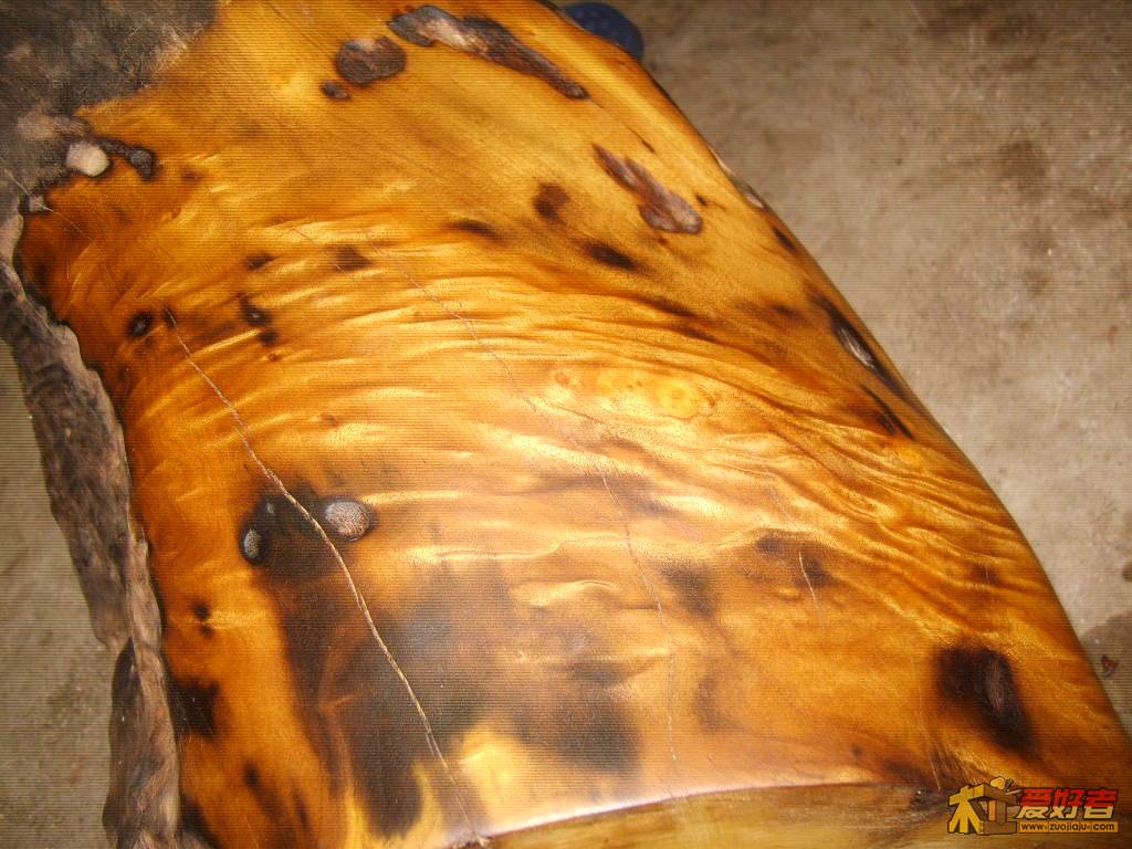 S8002036.JPG