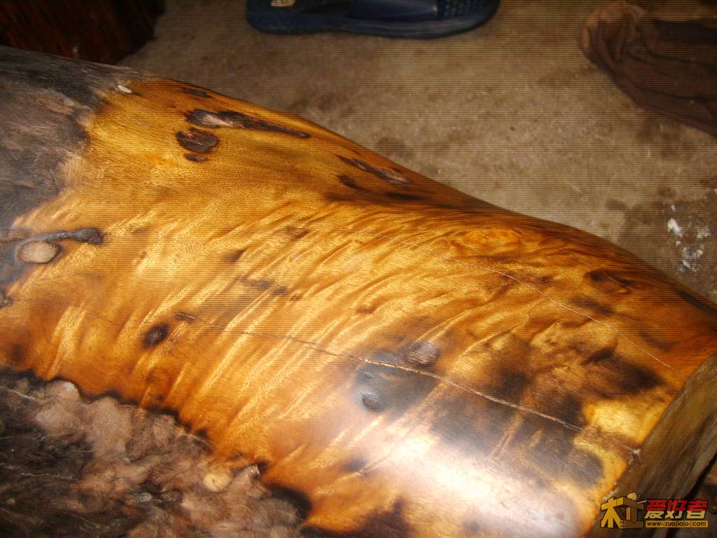 S8002037.JPG