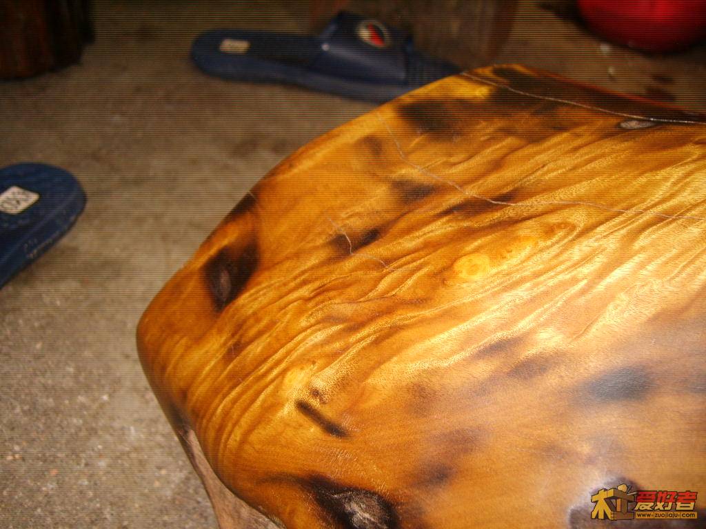 S8002039.JPG