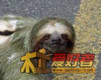 QQ截图20110509064110.jpg