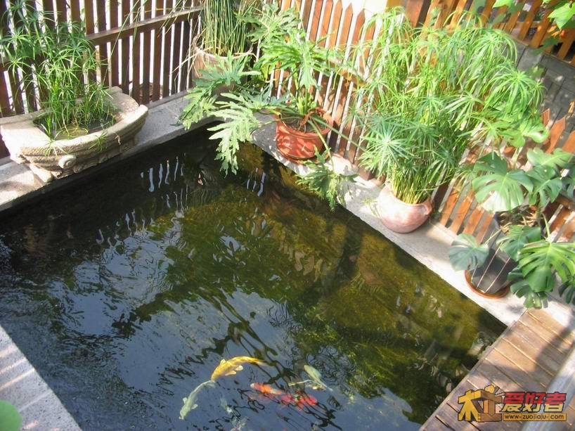 照片 152.jpg