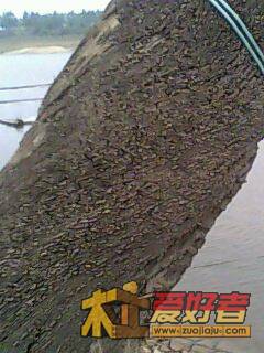 IMG0015A.jpg