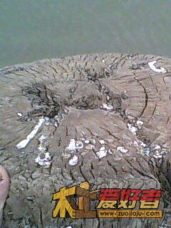 IMG0016A.jpg