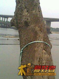 IMG0007A.jpg