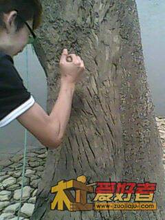 IMG0012A.jpg