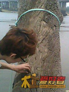 IMG0013A.jpg