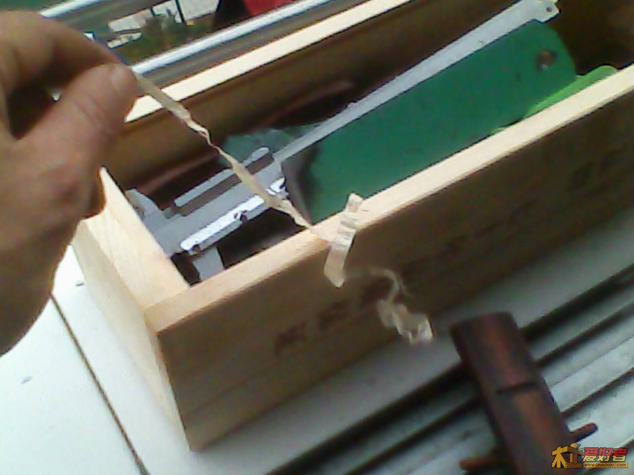 Img00020.jpg