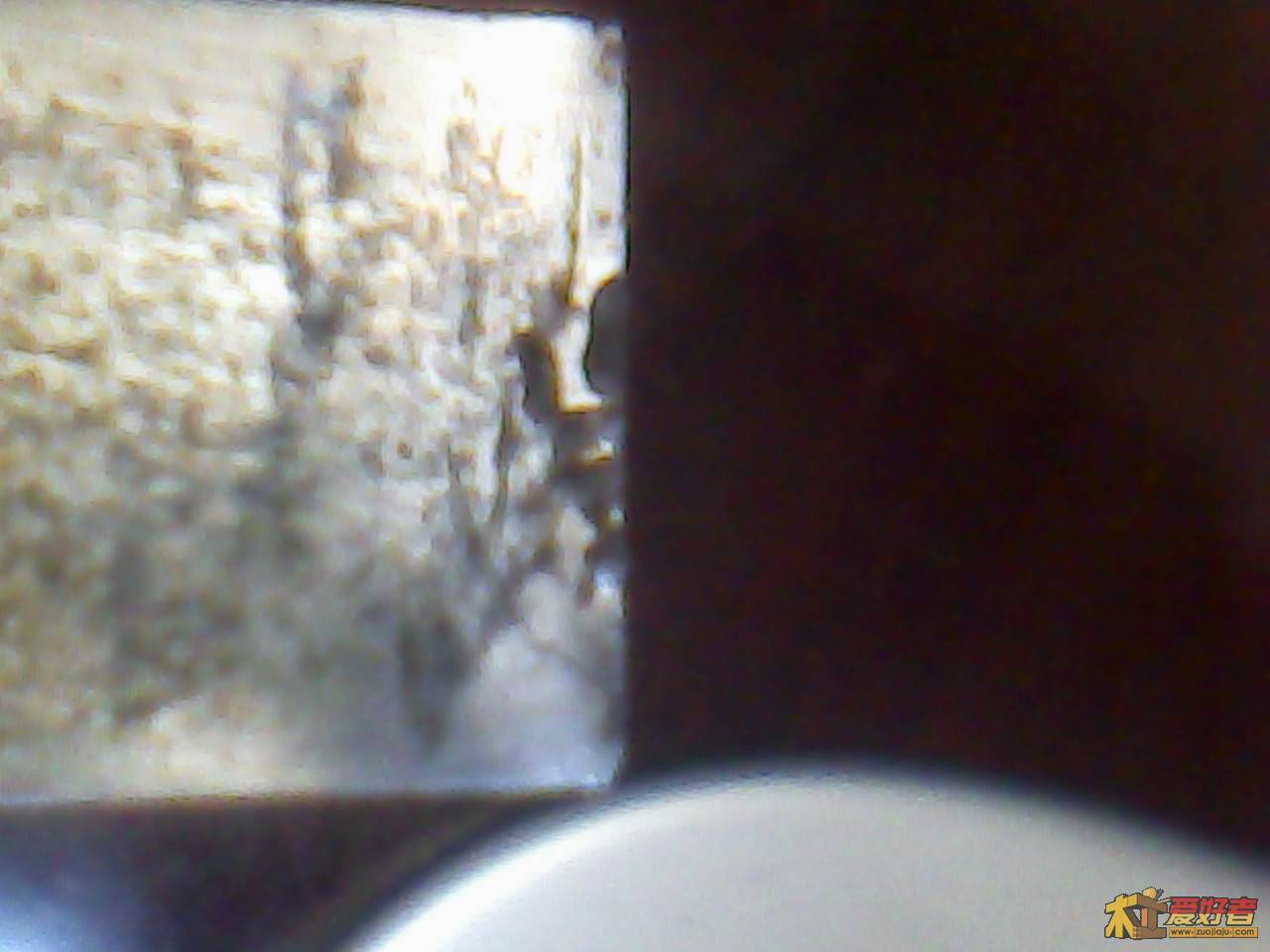 Img00028.jpg