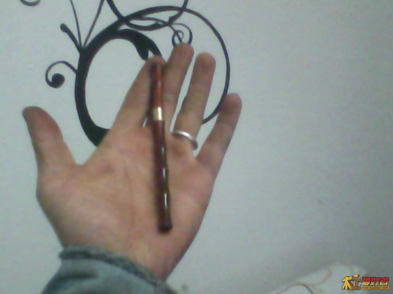 Img00013.jpg