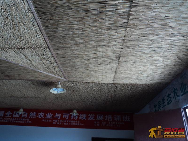 DSC00375_缩小大小.JPG