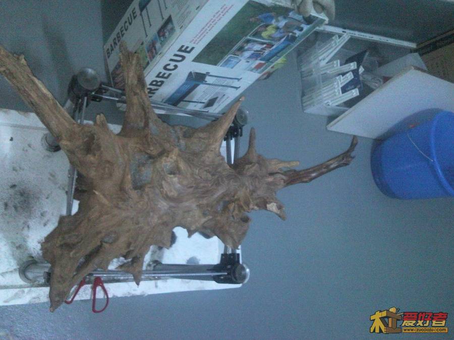 照片135.jpg