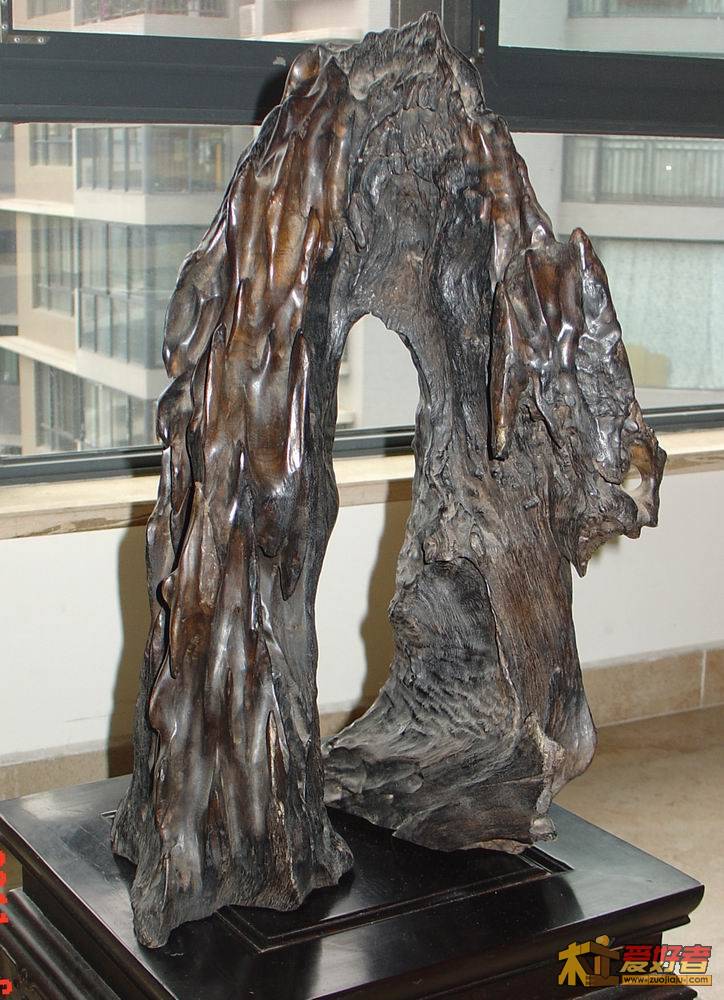 DSC04309-1.jpg