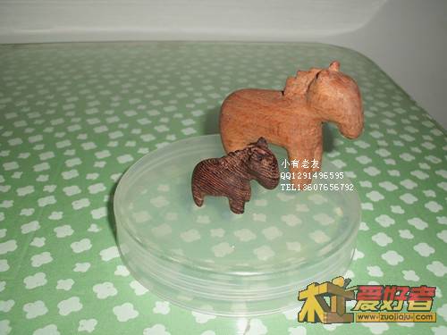 CIMG0656_副本.jpg