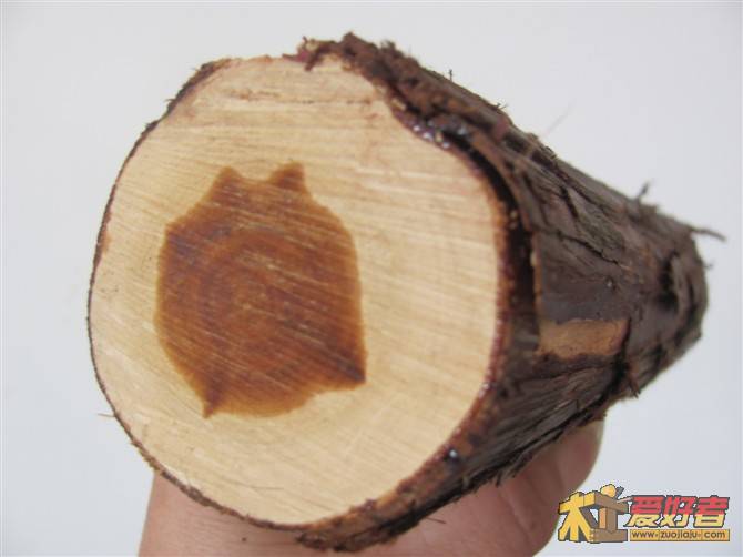 http_imgload[20].jpg
