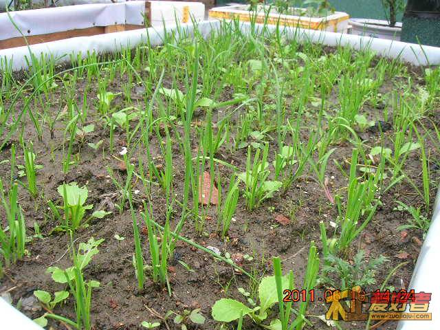 DSCN3469.JPG