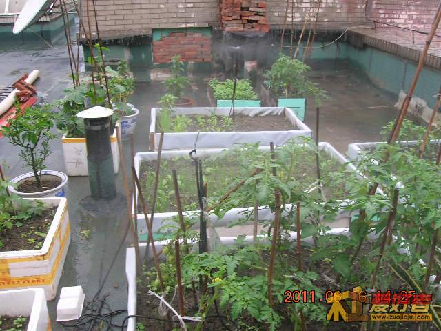 DSCN3471.JPG