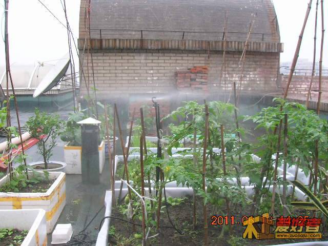 DSCN3470.JPG
