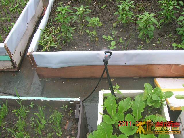 DSCN3472.JPG