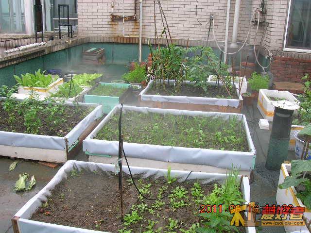 DSCN3474.JPG