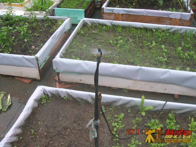 DSCN3473.JPG