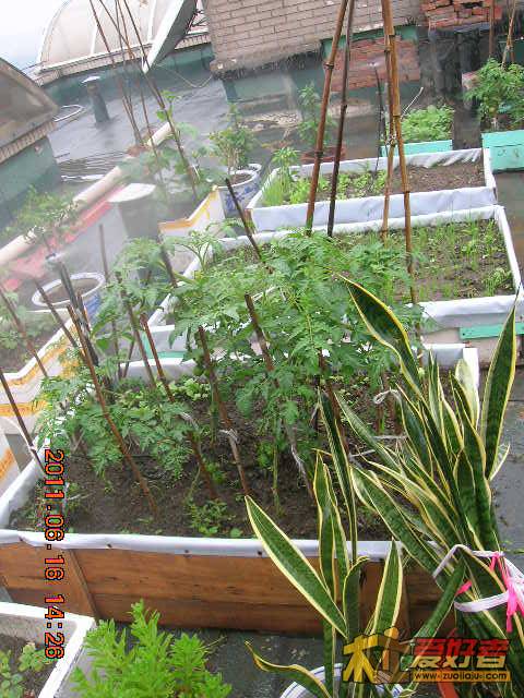 DSCN3477.JPG