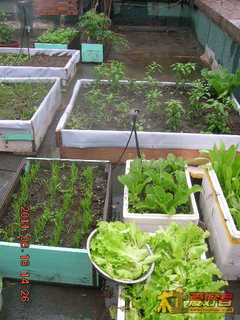 DSCN3476.JPG