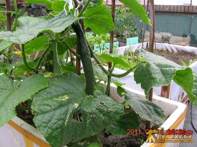 DSCN3466.JPG