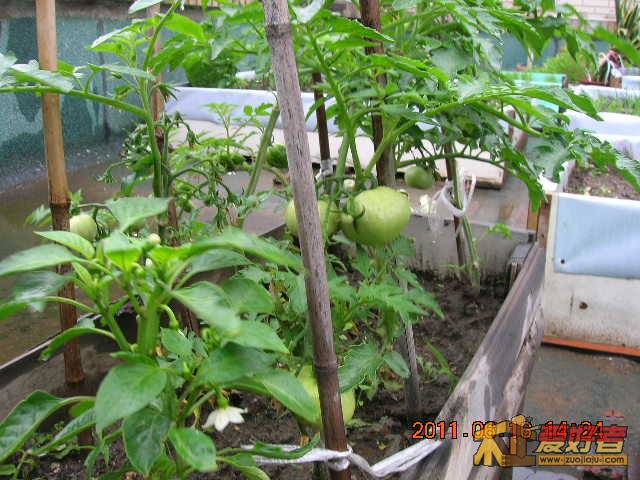 DSCN3467.JPG