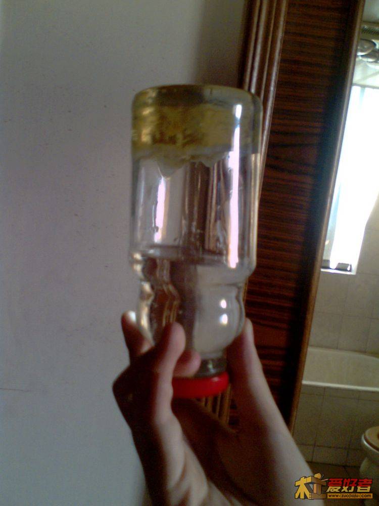 IMG1977A.jpg