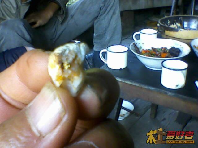 IMG1280A.jpg