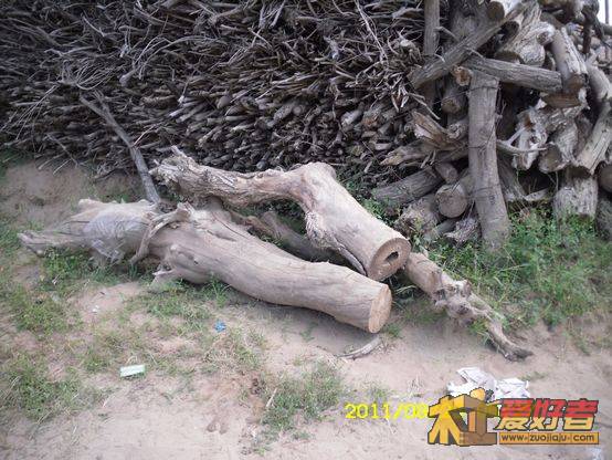 SDC13656.JPG