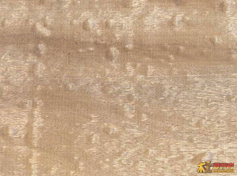水珠金丝楠3-2.jpg