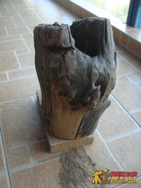 DSC04084.JPG